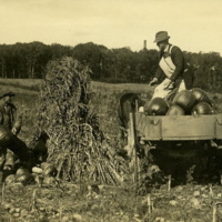 Leon A. Rushmore, Sr., and unidentified worker loading pumpkins into a wagon at Rushmore Farms, 1916.jpg