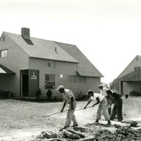 Crews working on lawn of completed Levitt house