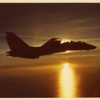 grumman_tomcat_sunset.jpg