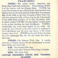 engerer_police_dogs_program.jpg