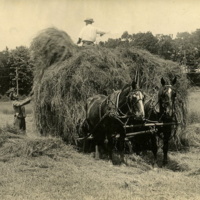 Leon A. Rushmore, Sr. (top) and an unidentified worker loading hay on a wagon, 1918.jpg