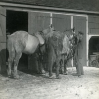 Leon A. Rushmore, Sr. with a team of plow horses outside of a barn at Rushmore Farms, c. Winter 1918.jpg