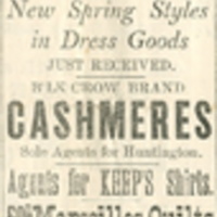 Advertisement for Thomas Itkin & Son's dry goods store, May 2, 1885.jpg