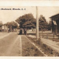 Mineola, MS037.jpg