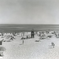 Long Island Photograph Collection 9-1.jpg