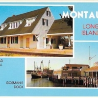 Montauk, MT018.jpg