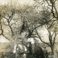 Leon A. Rushmore, Sr. driving a horse drawn plow through a gate at Rushmore Farms, 1915.jpg