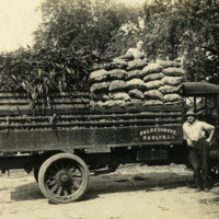 Leon A. Rushmore, Sr. on top of a loaded market truck, unidentified man [possibly Halstead Rushmore]  leaning on truck, 1915.jpg