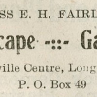 Advertisement, for Miss E.H. Fairley, landscape gardener, Mar. 6, 1908 .jpg