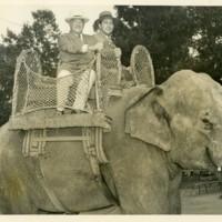 frank_buck_wagners_elephant.jpg