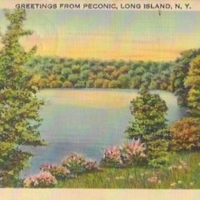 Peconic, PB002.jpg