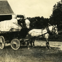 Unidentified man [possibly Halstead Rushmore] at reigns of loaded market wagon, Aug. 1913.jpg