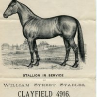 William Street Stables, Stallion in Service advertising flier-1, 1895.jpg