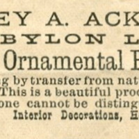 Advertisement for Sydney A. Ackley's painting business, May 8, 1886.jpg