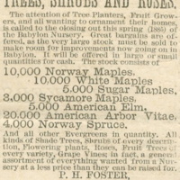 Advertisement for the Babylon Nursery, P.H. Foster, proprietor, May 30, 1885.jpg