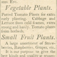 Advertisement for Reed & Funnell, florists, May 30, 1885.jpg