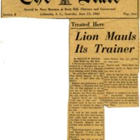 Lion Mauling Newspaper Articlw